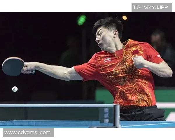 南京乒乓球队在世界杯预选赛中的技术表现分析与总结 南京乒乓球队在世界杯预选赛中的技术表现分析与总结