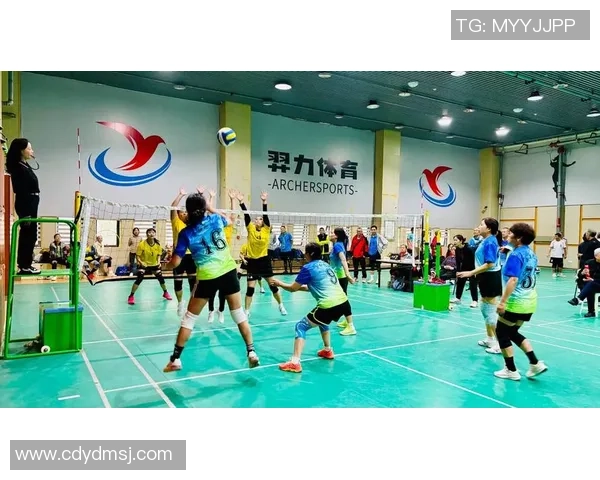 广州排球队的精神风貌与团队意识深度剖析 广州排球队的精神风貌与团队意识深度剖析