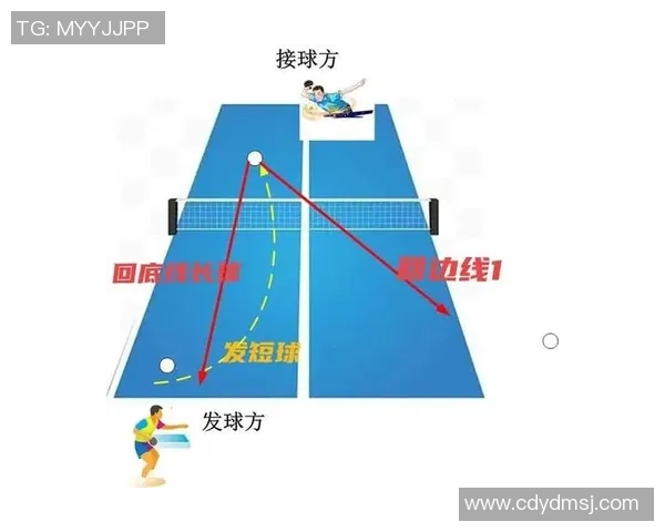 武汉乒乓球队在奥运会中的战术表现分析与点评