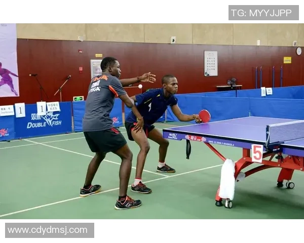 重庆乒乓球队战术分析与表现评估:联赛中的精彩瞬间与战略布局 重庆乒乓球队战术分析与表现评估:联赛中的精彩瞬间与战略布局