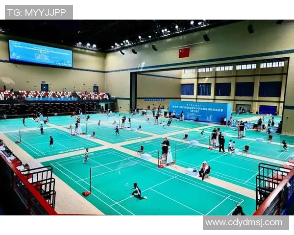 重庆羽毛球队技术排名创新高展现羽毛球运动新风采与实力