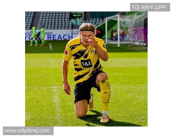 左边前卫足球明星的辉煌历程与传奇瞬间解析