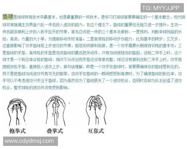 杭州排球队战术揭秘:如何运用包夹策略提升排球比赛胜率