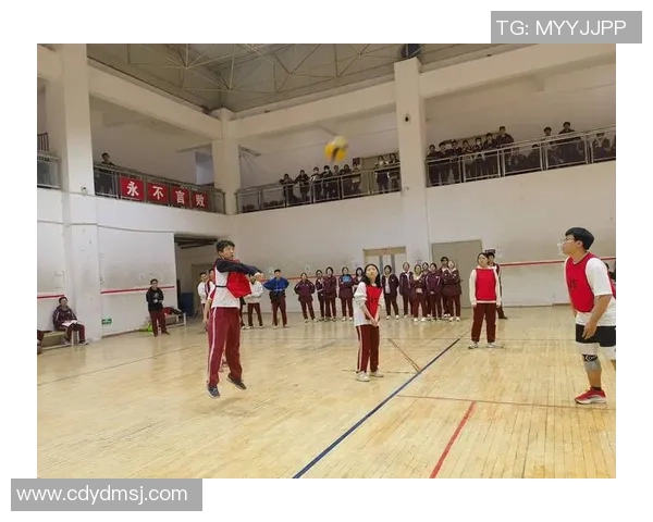 西安排球队在钻石联赛中的心理素质表现分析与点评