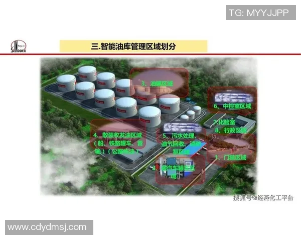 成都排球队灵活性分析与战术创新的深度探讨