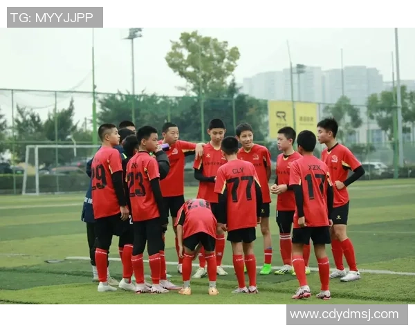 晚风轻拂梦中球场追逐足球明星的青春与热血故事