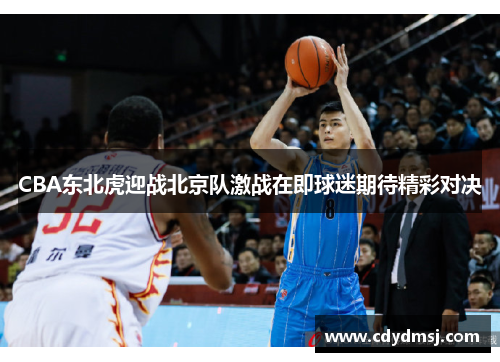 CBA东北虎迎战北京队激战在即球迷期待精彩对决